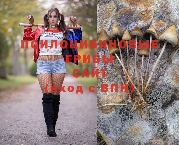 амфетамин Надым