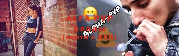 индика Наволоки